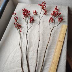 野バラの枝赤い実付きドライボタニカル 1枚目の画像