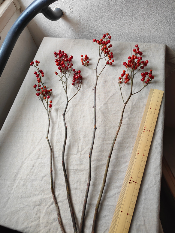 野バラの枝赤い実付きドライボタニカル 1枚目の画像