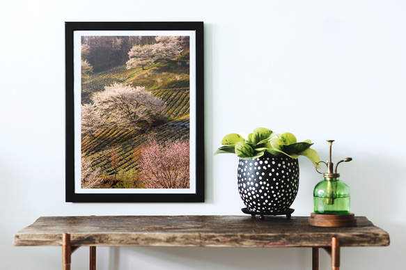 桜仙峡　夢農場の桜　インテリアアートポスター　075 1枚目の画像