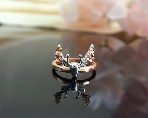 af84d8626fe019d43edeecd4c0d491