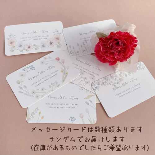 母の日のもしゃもしゃくまさんあみぐるみ カーネーションを