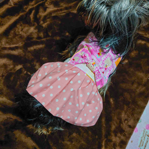 くま様♡ 専用ページです♡ 犬服　ハンドメイド くまちゃん様☆犬服☆ハンドメイドオーダー くまちゃん様☆犬服☆