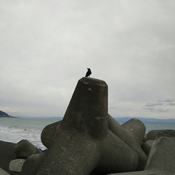 シー陶器Ｒ　静岡海散歩　アクセサリーパーツ、クラフト素材に 14枚目の画像