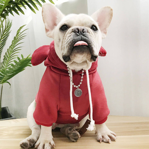 犬服 犬猫用 小中型 春秋冬用 新品 トイプー フレブル チワワ 耳