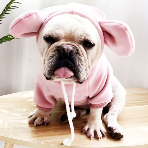まーちゃん様の専用 ハンドメイドの犬服 フレブル