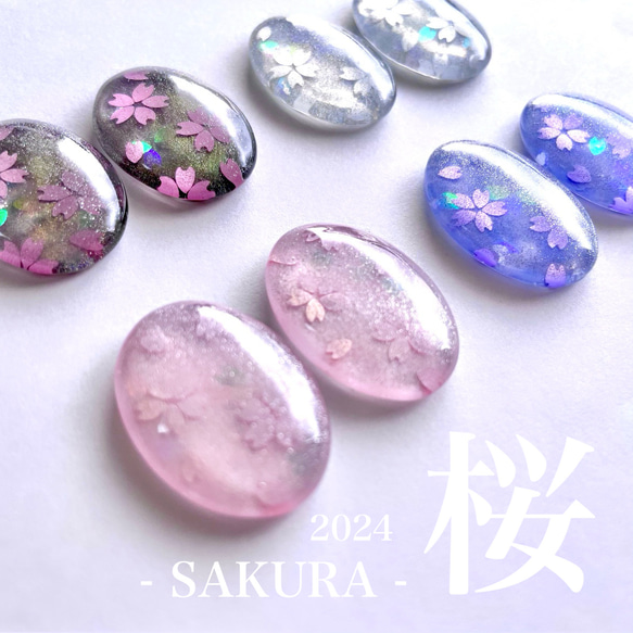 桜-SAKURA-2024 1枚目の画像