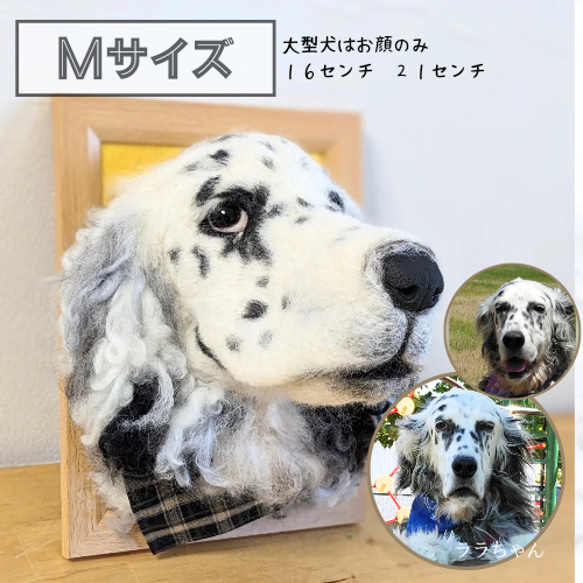 Tama**可愛いリアル『うちのコ』Mサイズオーダー ペット服 