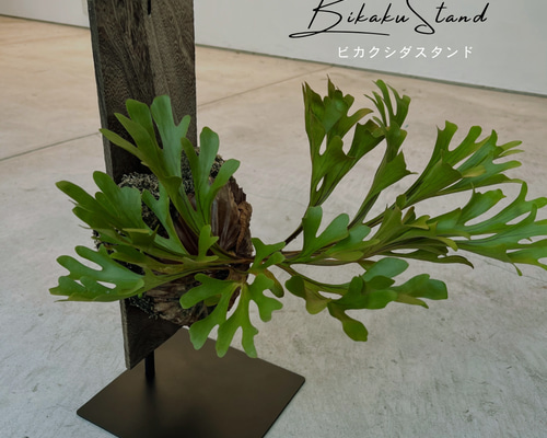 5901ae5078195a5fcf30941ccb3104