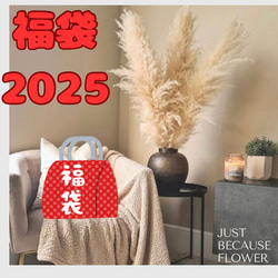 20本⭐︎福袋】最安値 特大 XLサイズ パンパスグラス ドライ