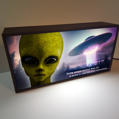 最新の激安 宇宙人 UFO エイリアン SF 未知との遭遇 エリア51 ホラー SF・ファンタジー・ホラー