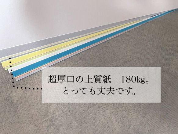 【4月はじまり】マニアックな海鳥たちと過ごす一年カレンダー〜2024 12枚目の画像