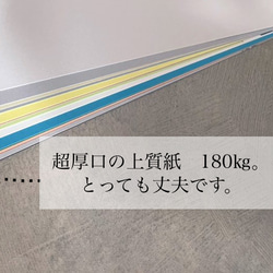 【4月はじまり】無の爬虫類両生類たちと過ごす一年カレンダー〜2024 12枚目の画像