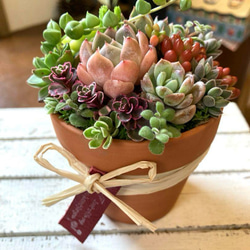 8474f29717f2eb4939c6c760b959fe