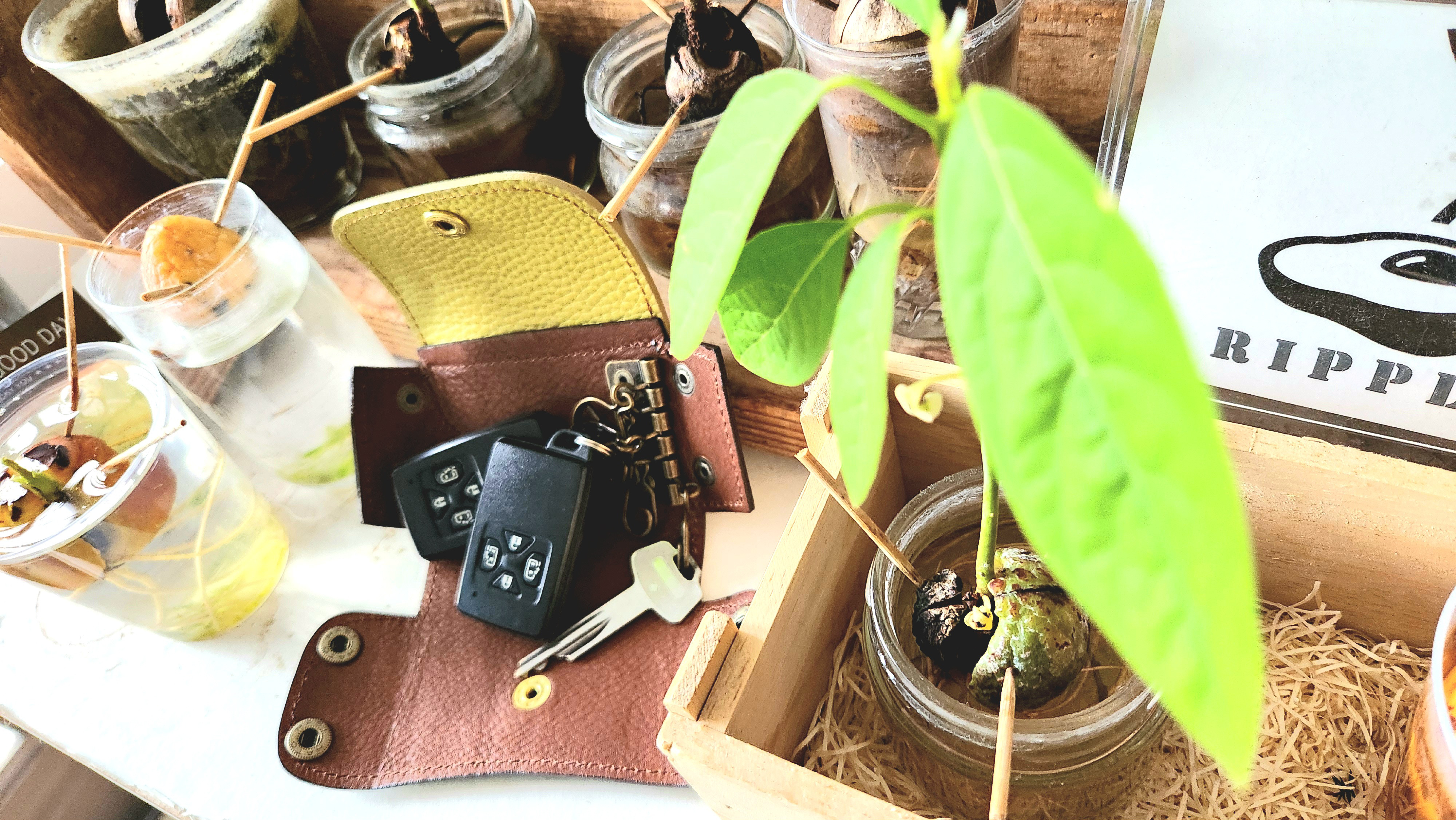 ☆アボカド配色☆ポーチ型キーケース【avo.smart key pouch】