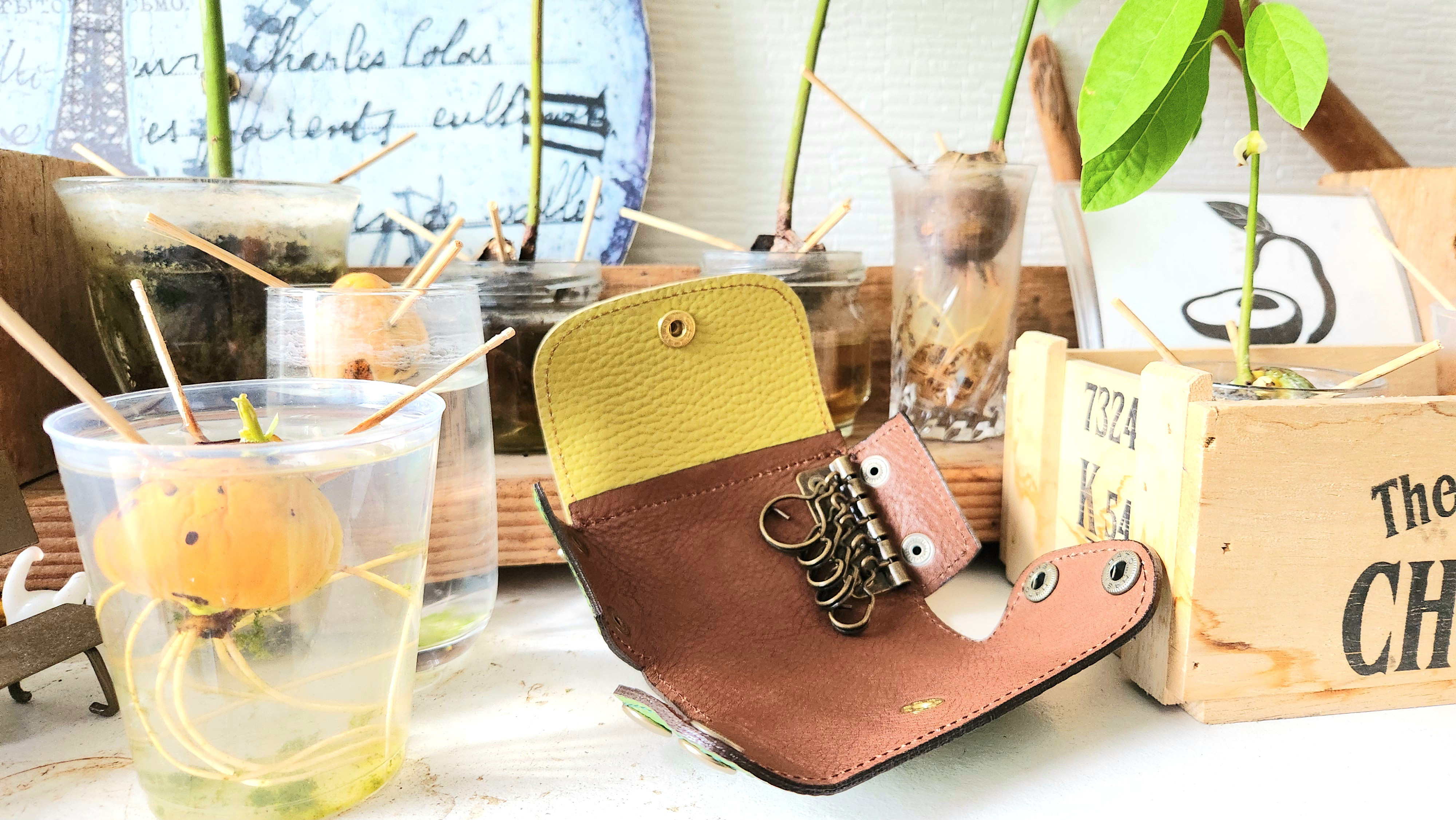 ☆アボカド配色☆ポーチ型キーケース【avo.smart key pouch】