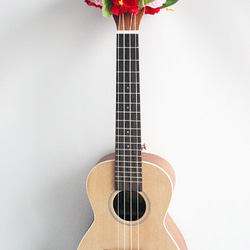 手工套件尤克里裡絲帶花環夏威夷工藝樂器配件木槿吉他阿羅哈音樂會 第2張的照片