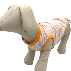 コーギー 大型犬 接触冷感 メッシュ 犬服 夏 クール タンクトップ オレンジ ドッグウェア ペット服 服 ハンドメイド 4枚目の画像