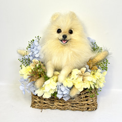 羊毛フェルト おすましポメラニアンのフラワーフレーム クリーム