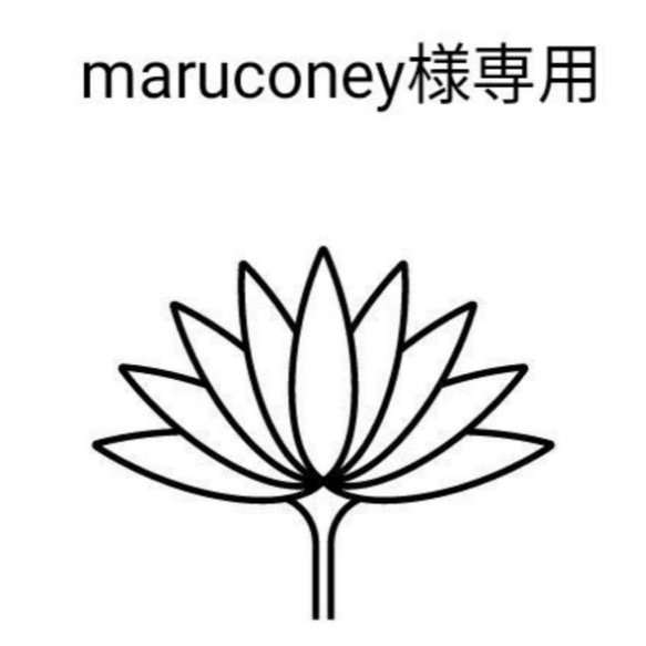 maruconey様専用 1枚目の画像