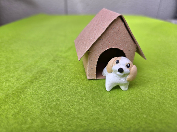 ちっちゃな小屋犬 1枚目の画像