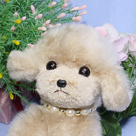 小物入れのポーチ プードル プードルちゃん 誕生 ぬいぐるみとしても　お使いいただけます。