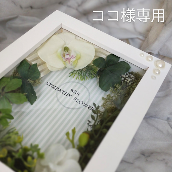 お悔やみ・虹の橋・フォトフレーム 【遺影 花額】No.33胡蝶蘭