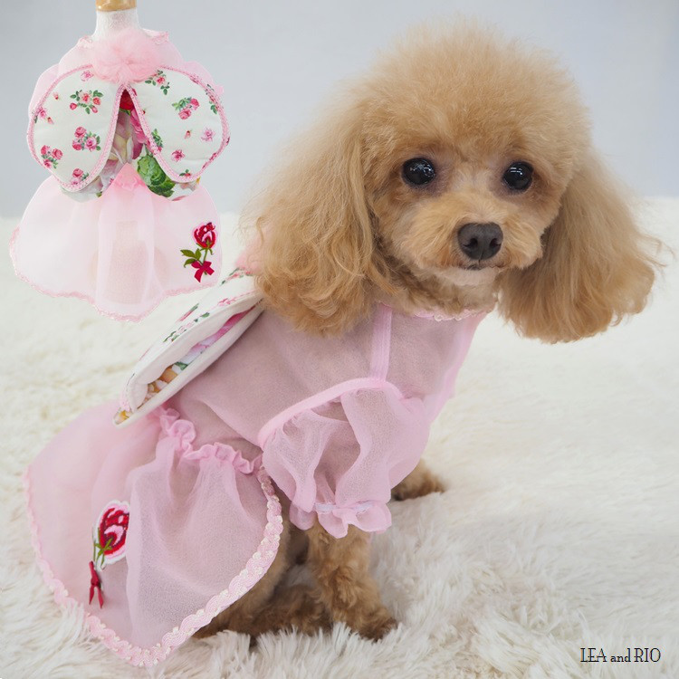ワンピース ドレス シースルー ピンク 花柄 透け感 小型犬 犬服 猫 ペット 猫服 P752