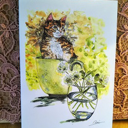 カフェ・オ・レ・猫さんとシロツメクサ。 5枚目の画像