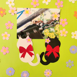 ラミネート可　写真　色紙　手紙　壁面　アルバム　飾り　パーツ　～桜を眺める猫の恋人たち♪～　猫　黒猫　白猫　桜　花 7枚目の画像