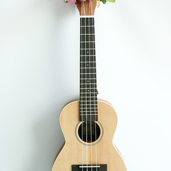 手工套件尤克里裡絲帶花環夏威夷工藝樂器配件木槿吉他阿羅哈音樂會 第3張的照片