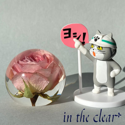植物標本　薔薇　くすみ系ピンク　５センチ球体 7枚目の画像