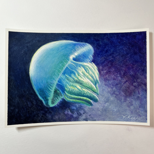 原画『Blue jelly fish』透明水彩 色鉛筆画 絵画 Y.Koshi 通販 原画『Blue jelly fish』透明水彩 色鉛筆画 絵画 Y.Koshi 通販