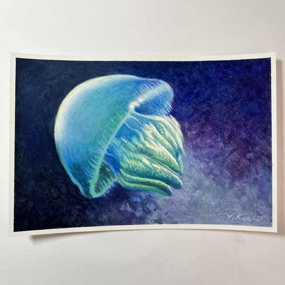 原画『Blue jelly fish』透明水彩 色鉛筆画 3枚目の画像