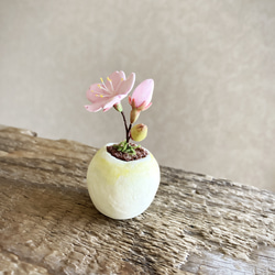 8589.bud 粘土の鉢植え 桜 2枚目の画像