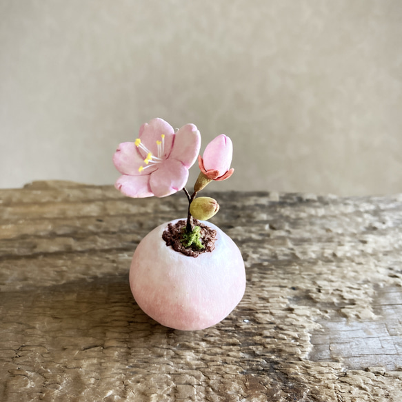 8590.bud 粘土の鉢植え 桜 3枚目の画像