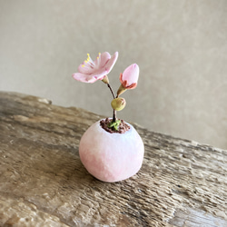 8590.bud 粘土の鉢植え 桜 2枚目の画像
