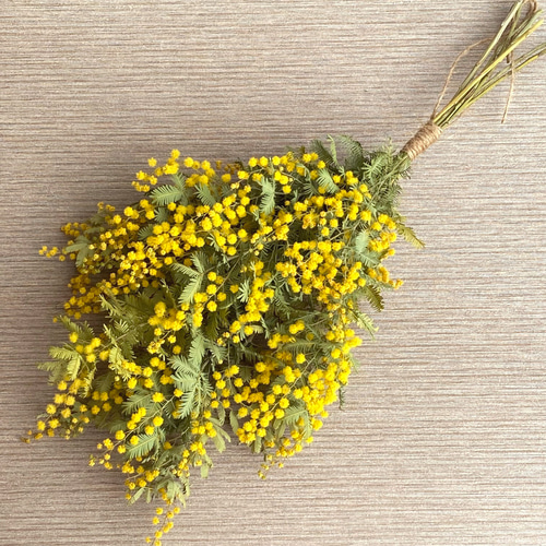 ドライフラワー スワッグ ミモザ アカシヤ ナチュラル カントリー シンプル