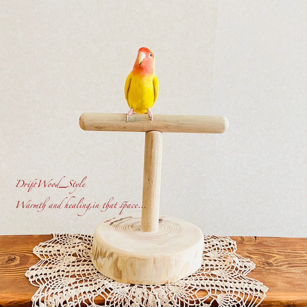 売り切れました⭐鳥たちの大容量バッグ⭐ われる