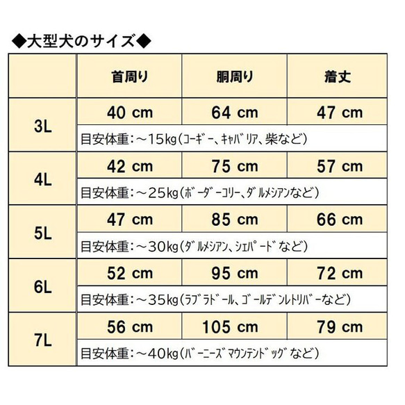  第15張的照片