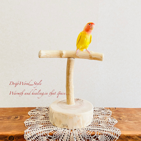 オウムスタンド&インコスタンド&止まり木 【公式通販】