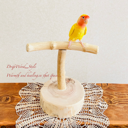 流木インテリア 中～大型インコも止まれる天然流木の小鳥の止まり木 