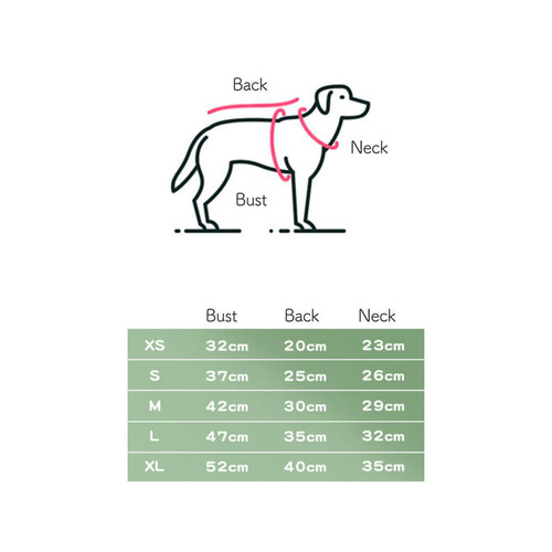 犬服 サイズ確認用ページ ꒡̈⃝Lily꒡̈⃝犬服 ハンドメイド