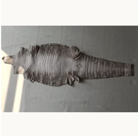 ☆ナイルワニ革 クロコダイル 45cm 目地染め 腹部 原皮 レザークラフト  