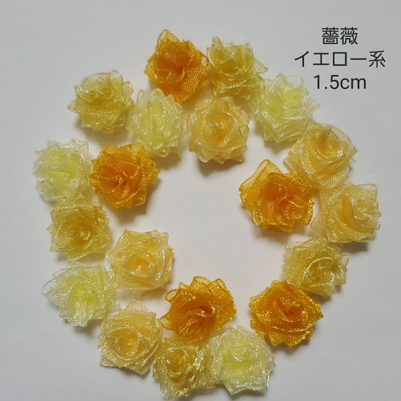 薔薇　イエロー系 1枚目の画像