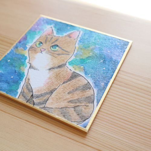 原画 猫 色紙 猫のちっちゃな原画 安眠 02 イラスト クワハラシホコ 通販