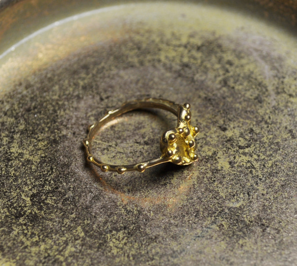 真鍮の指環：《一目惚れ 01/Coup de coeur 01》 8枚目の画像