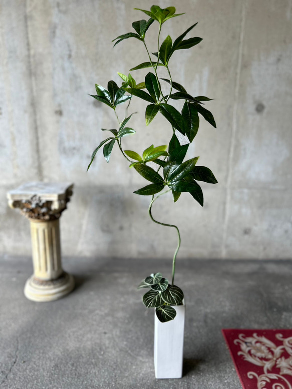光触媒　人工観葉植物　ウォールグリーン　フェイクグリーン　ニューパキラ花器付 2枚目の画像