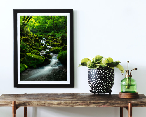 苔むす油木美林 インテリアアートポスター IVYL-079 渓谷 苔 森林 長野