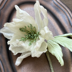 Christmas rose-Double【Milky White×Green】 2枚目の画像