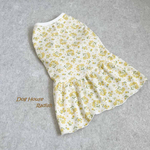 犬服 ミモザ柄ワンピース 【公式通販】